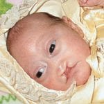 article image - 